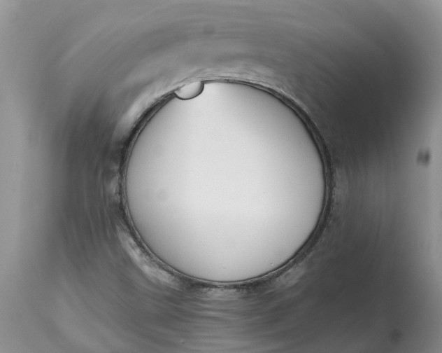 X0000115001499200911091346