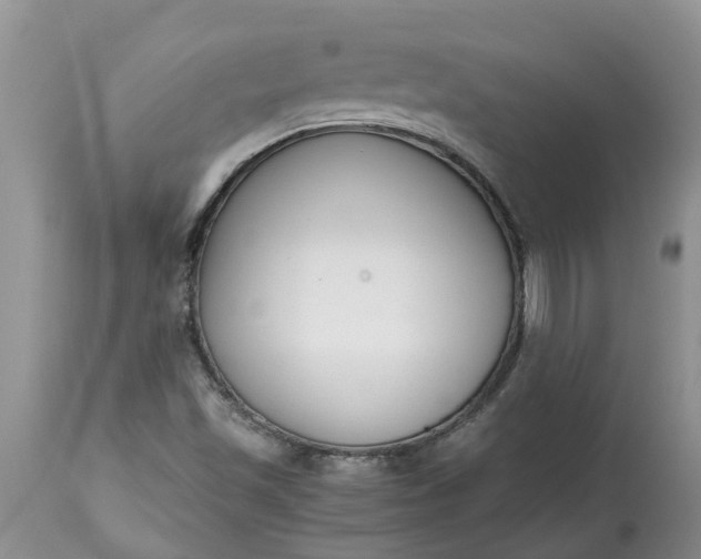X0000115001501200911091346