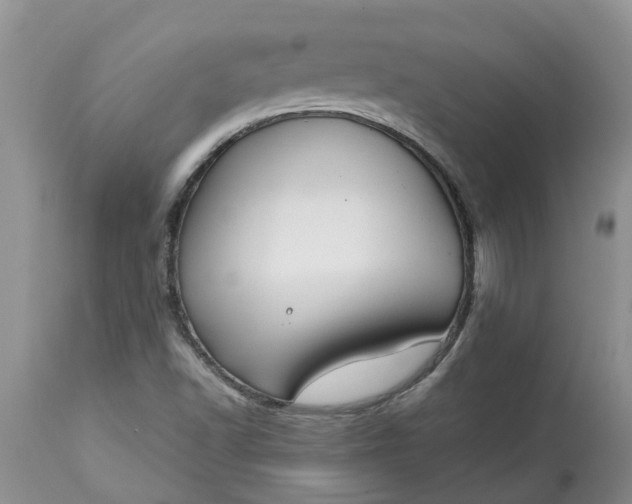 X0000115001502200911091346