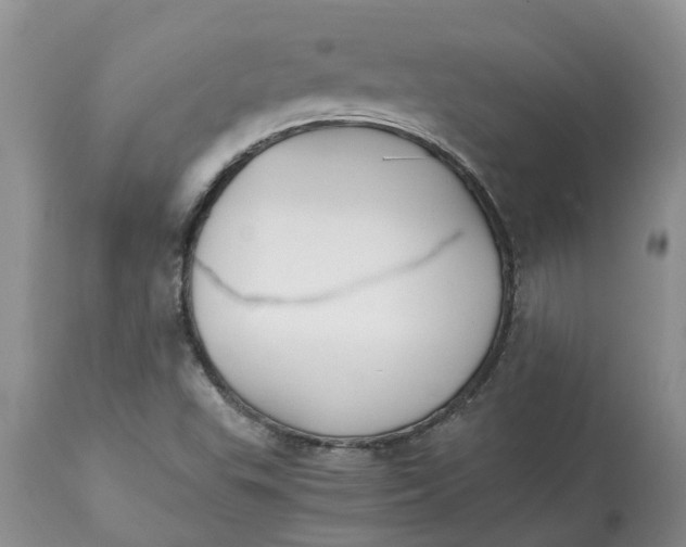 X0000115001503200911091346