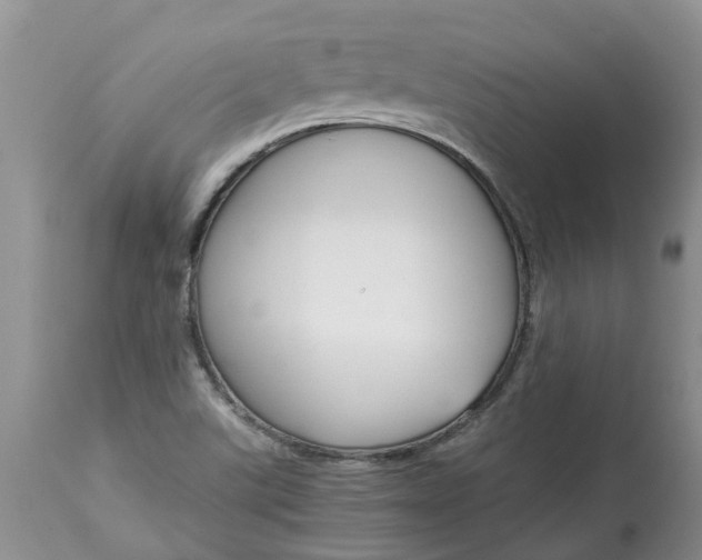 X0000115001507200911091346