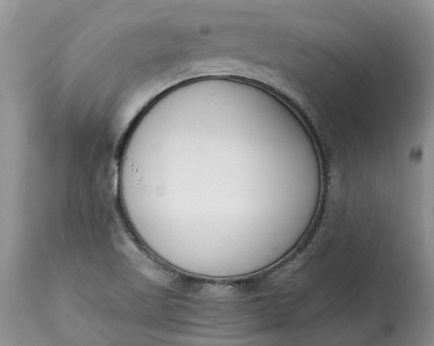 X0000115001509200911091346