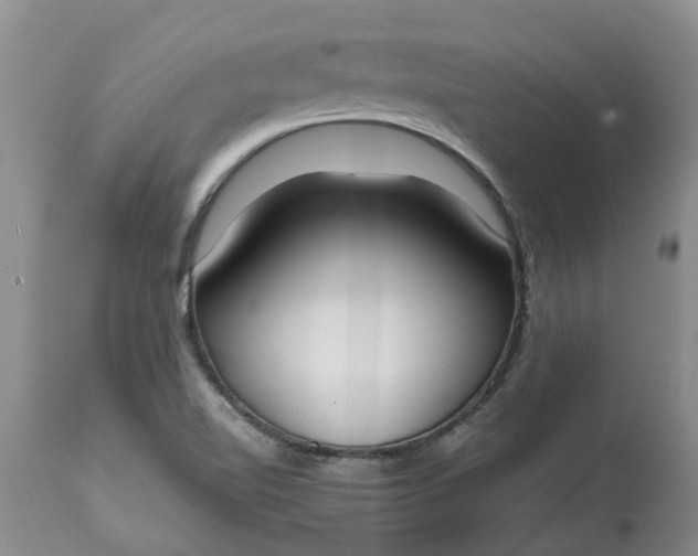 X0000115001510200911091346