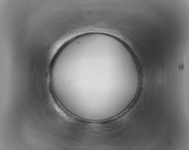 X0000115001511200911091346