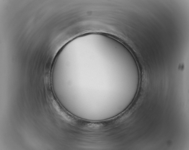X0000115001513200911091346