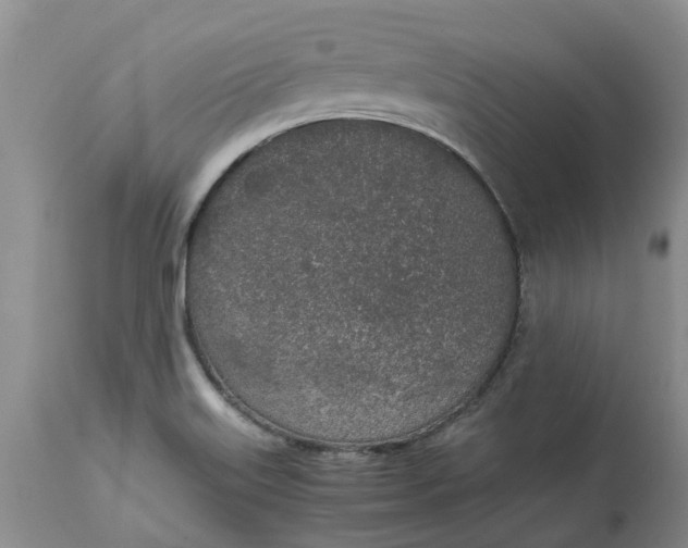 X0000115001515200911091346