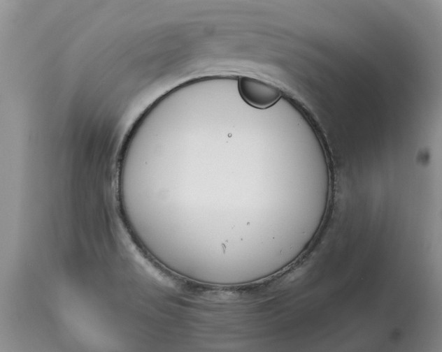 X0000115001517200911091346