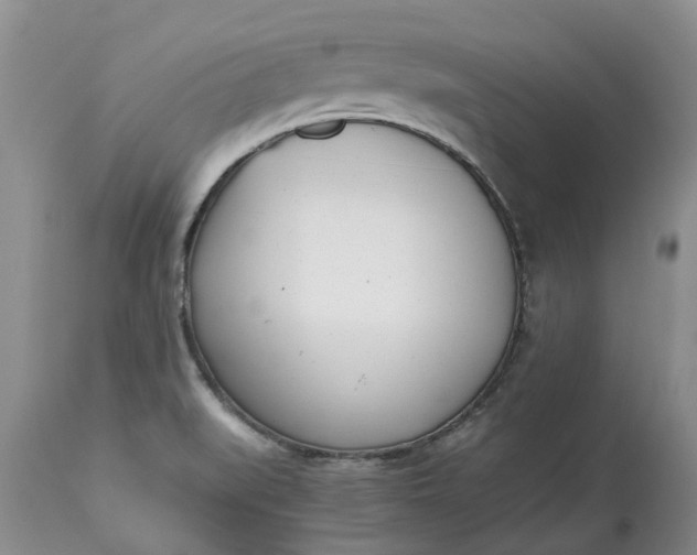 X0000115001519200911091346