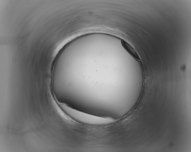 X0000115001523200911091346