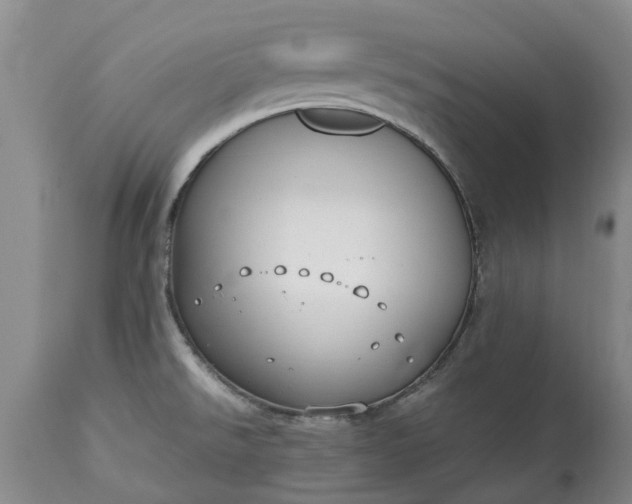 X0000115001526200911091346