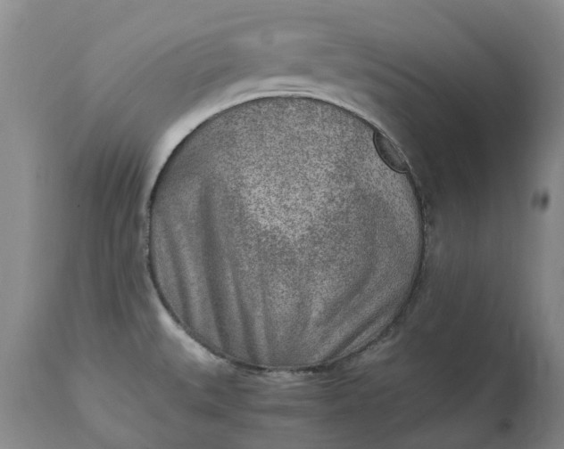 X0000115001527200911091346