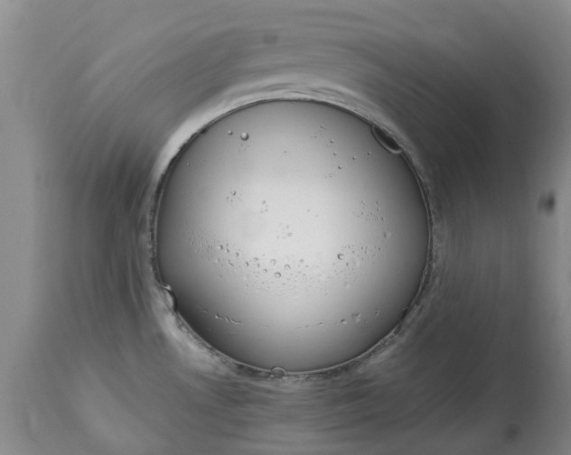 X0000115001530200911091346