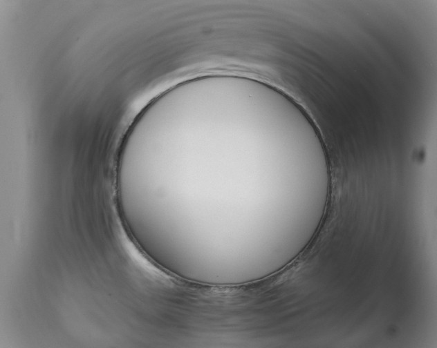X0000115001531200911091347