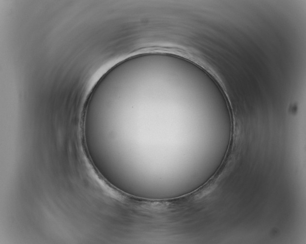 X0000115001533200911091347