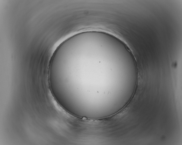X0000115001534200911091347