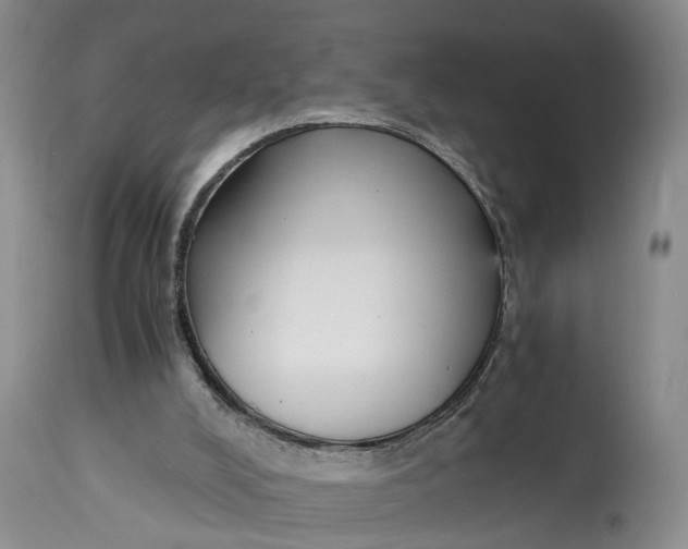 X0000115000008200911161547