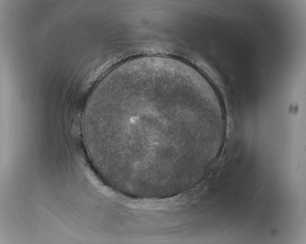 X0000115000009200911161547