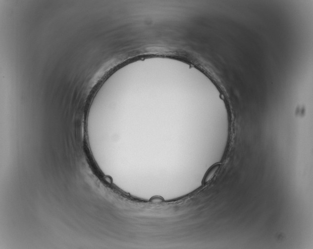 X0000115000011200911161547