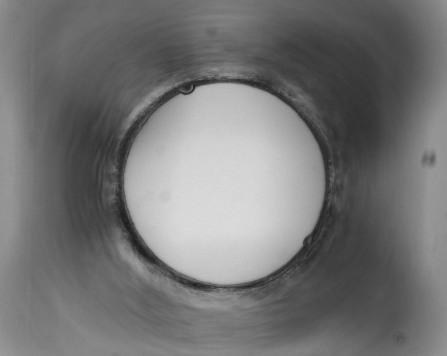 X0000115000012200911161547