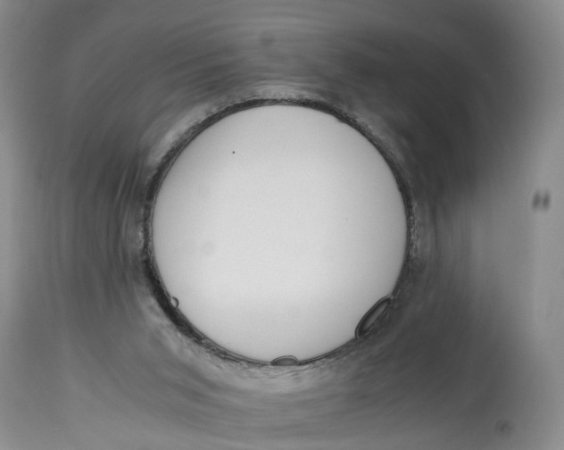 X0000115000015200911161547