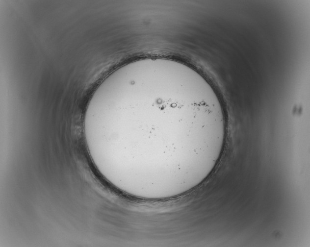 X0000115000017200911161547