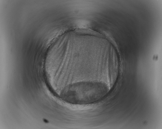 X0000115000018200911161547