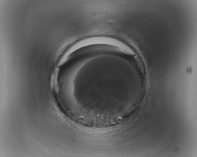 X0000115000019200911161547