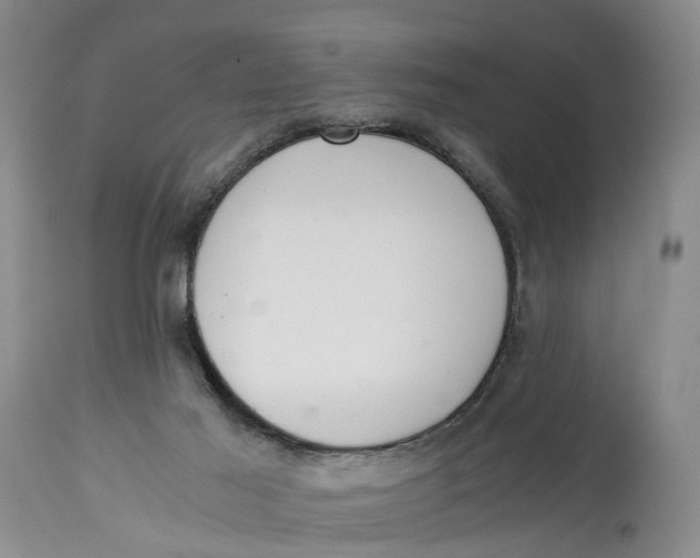 X0000115000021200911161547