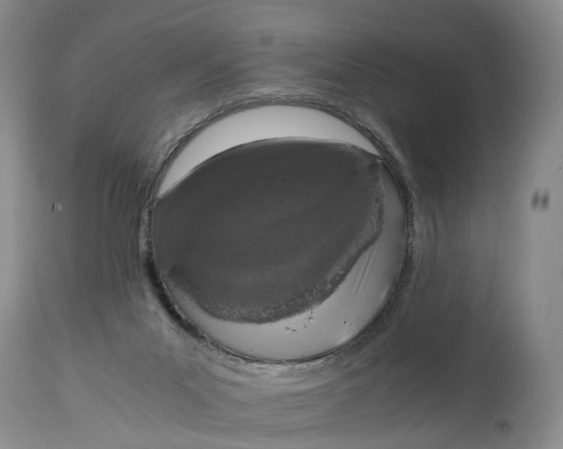 X0000115000023200911161547