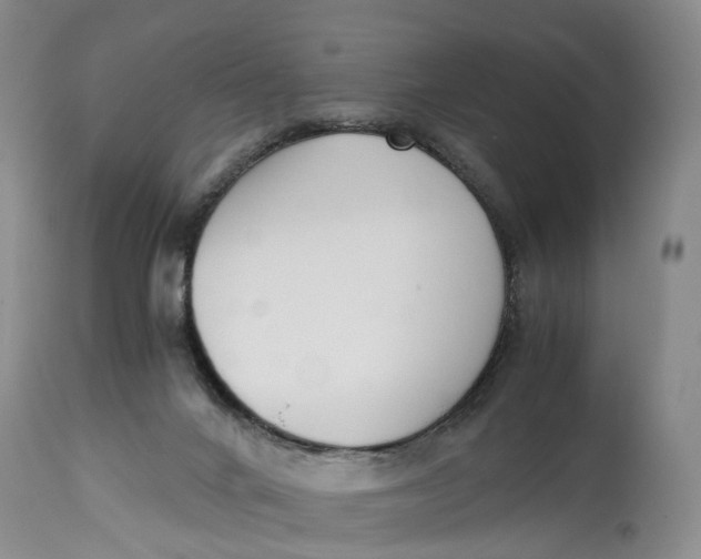 X0000115000024200911161547