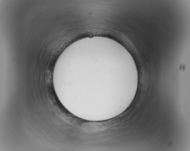 X0000115000025200911161547