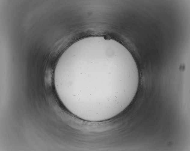 X0000115000026200911161547