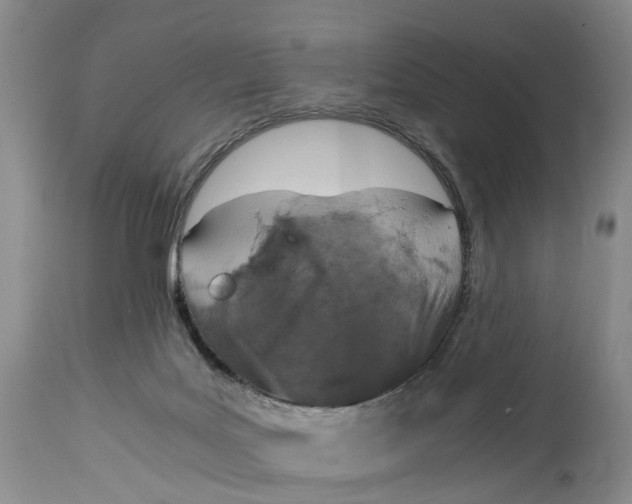 X0000115000027200911161547