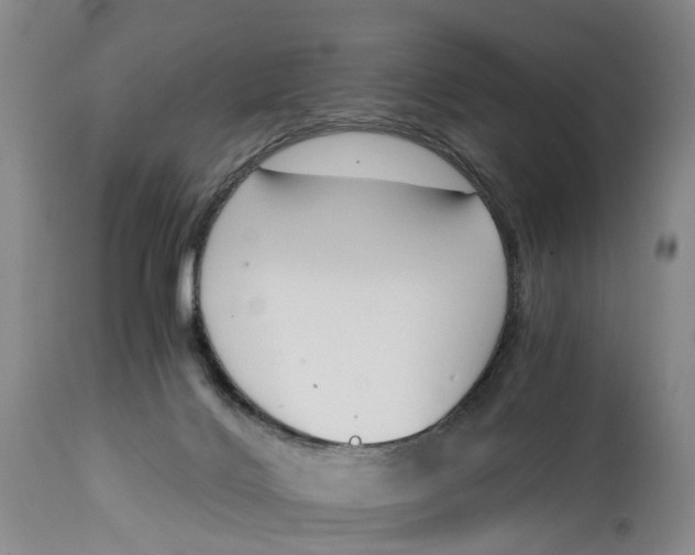 X0000115000028200911161547