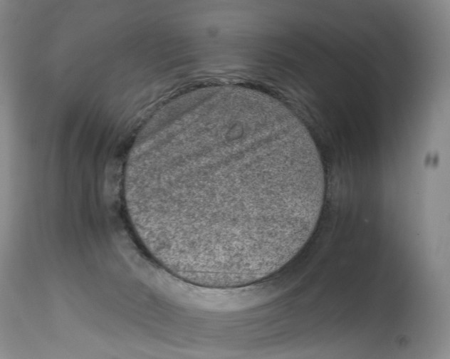 X0000115000030200911161547