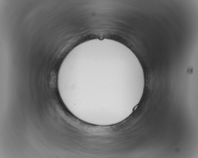 X0000115000036200911161547