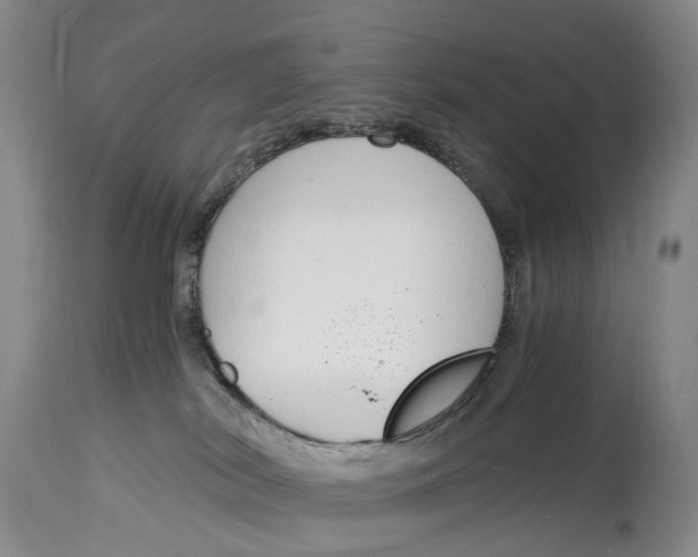 X0000115000038200911161547