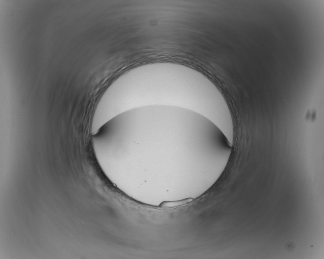 X0000115000039200911161547