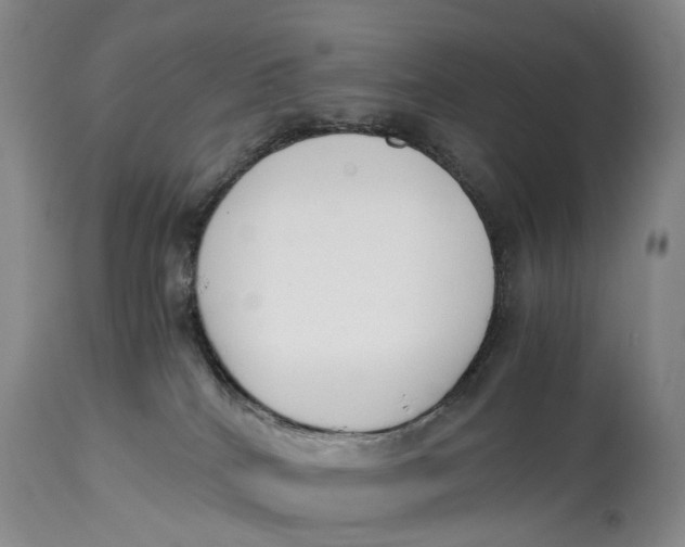 X0000115000040200911161547