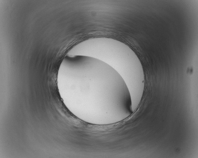 X0000115000045200911161547