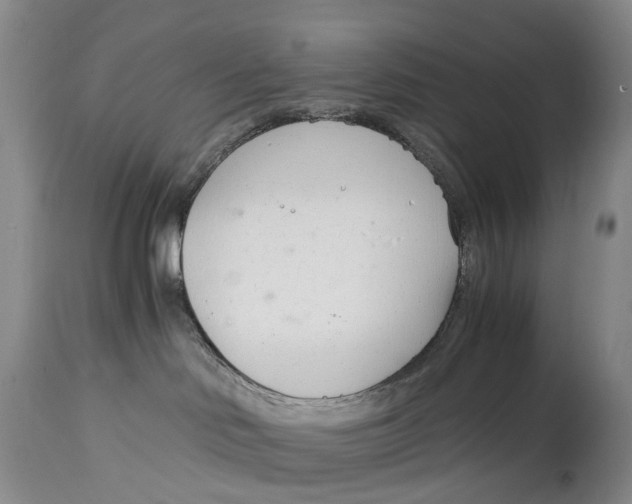 X0000115000046200911161547