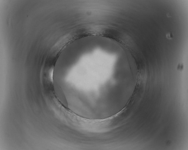 X0000115000047200911161547