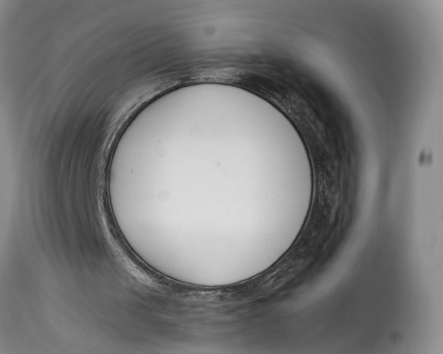 X0000115000049200911161546