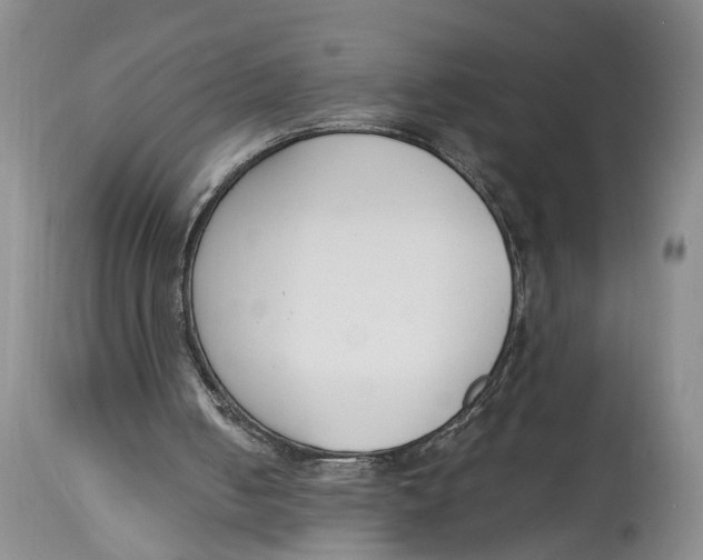 X0000115000050200911161546