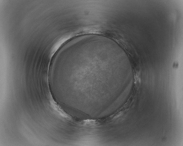 X0000115000052200911161546