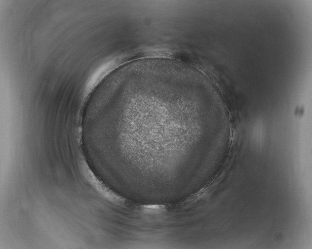 X0000115000053200911161546