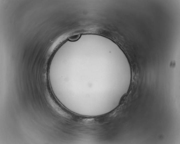 X0000115000054200911161546