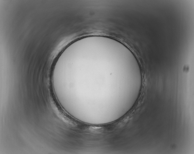 X0000115000055200911161546