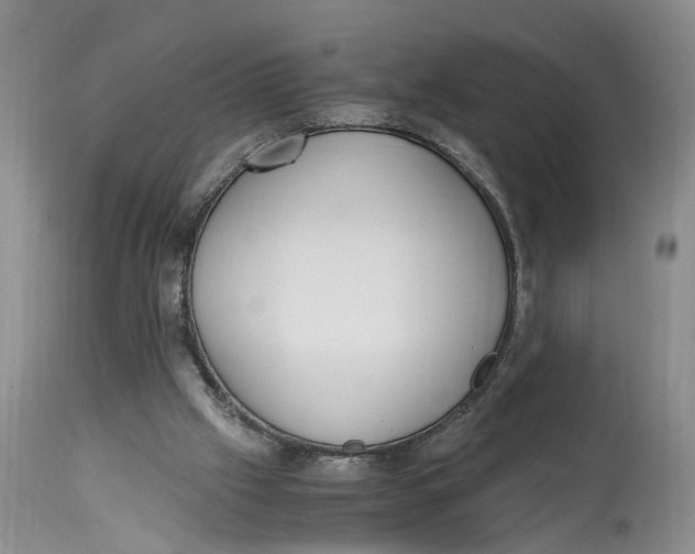 X0000115000057200911161546