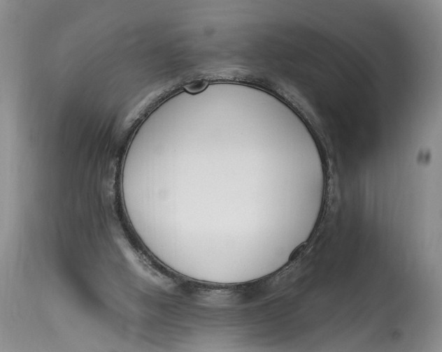 X0000115000058200911161546